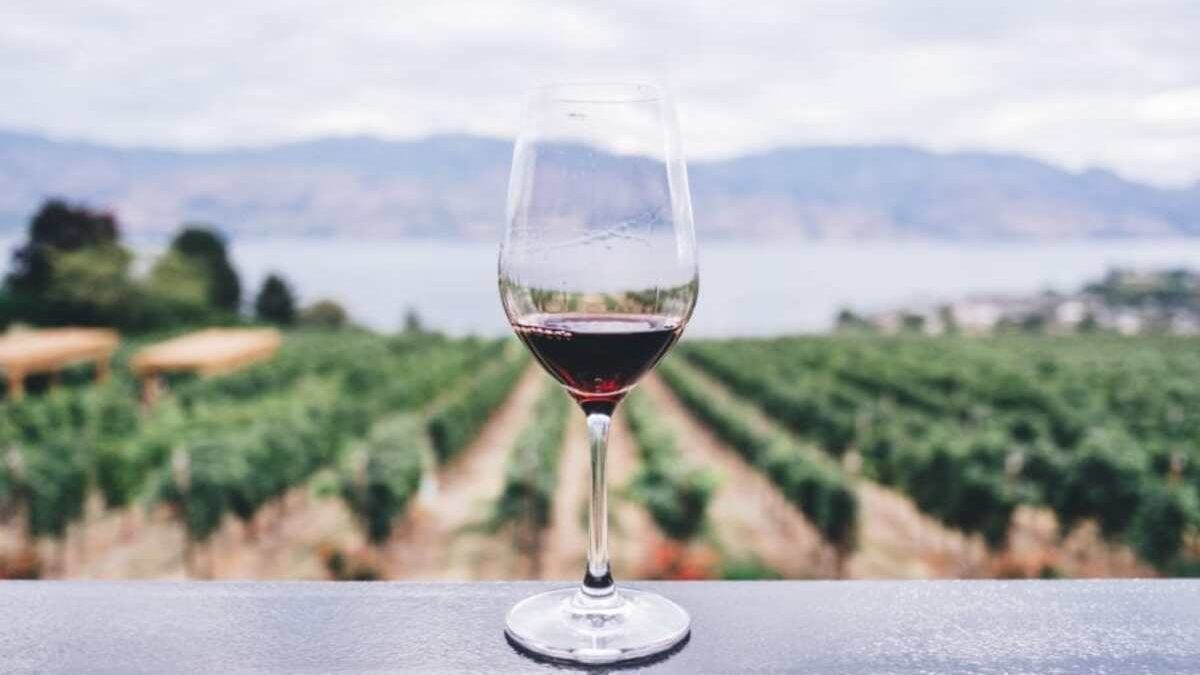 cropped qantas epiqure wine glass header