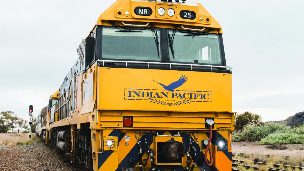 indian pacific 58579 ws