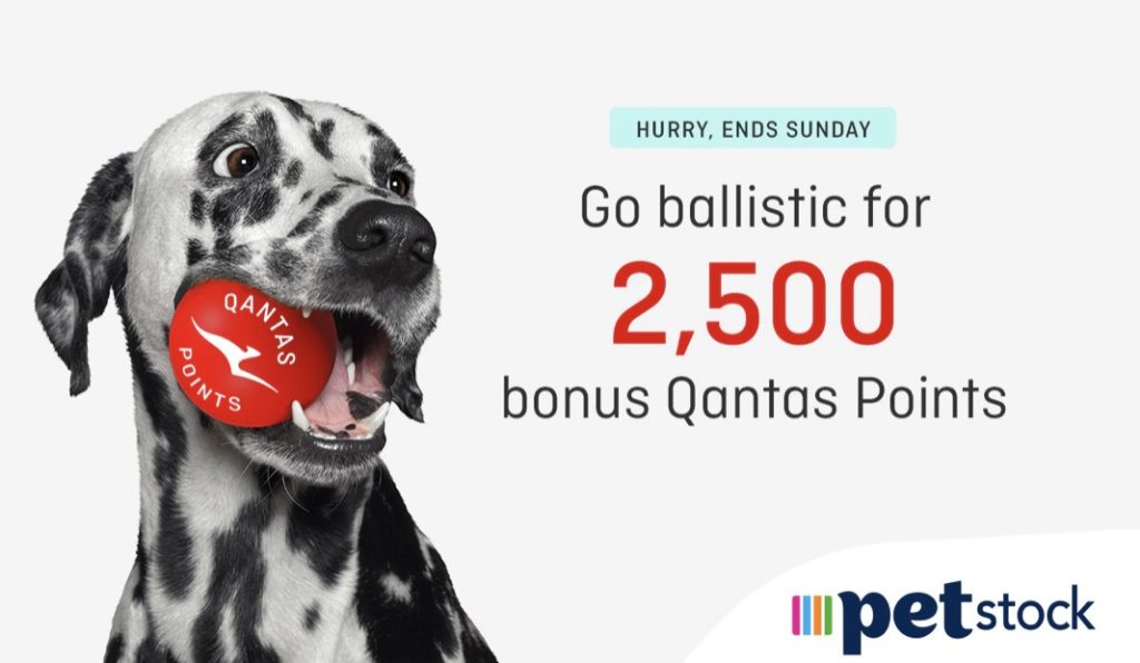 petstock bonus qantas points image